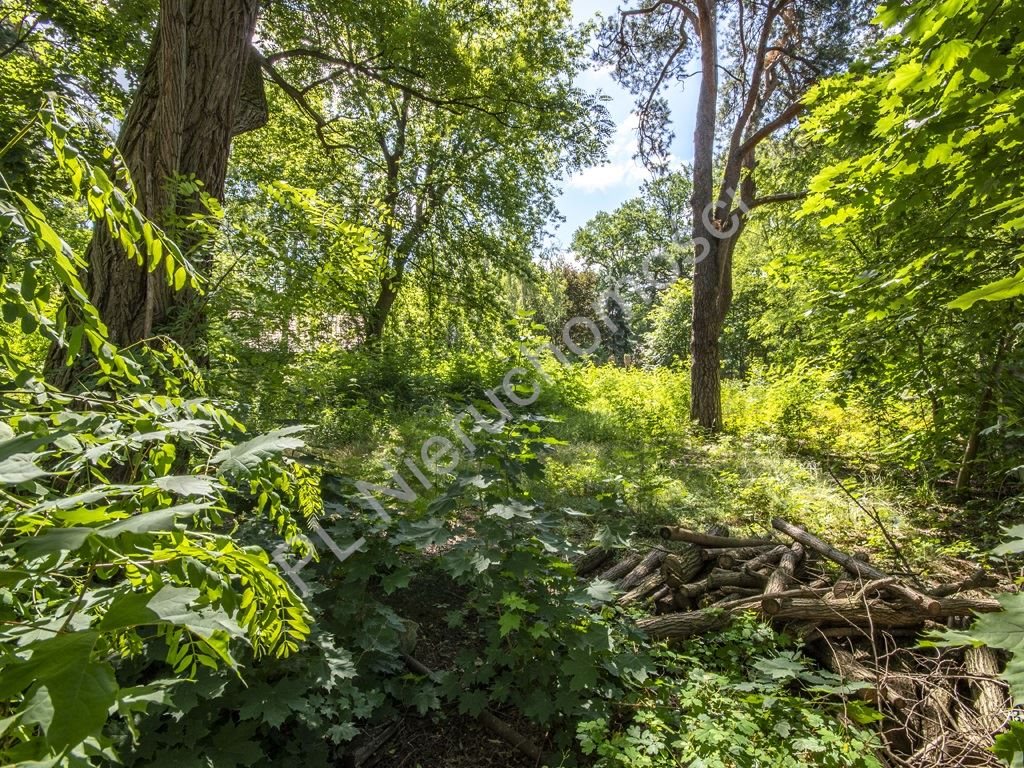 Do sprzedania działka 1045 m² z projektem i starodrzewem w Milanówku Milanówek  1 045m2 Foto 1