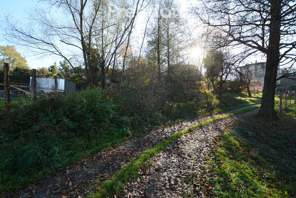 Działka budowlana na sprzedaż Gorzeń Dolny  752m2 Foto 7