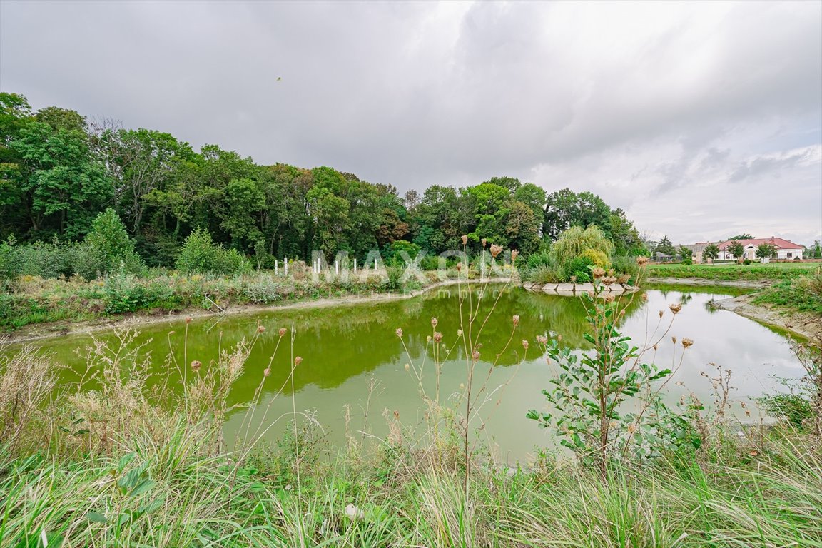 Dom na sprzedaż Małuszów  4 100m2 Foto 6