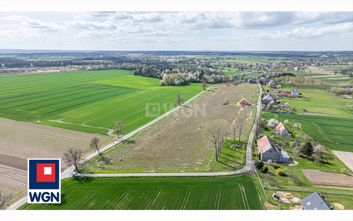 Działka budowlana na sprzedaż Żeliszów, Żeliszów  1 304m2 Foto 9