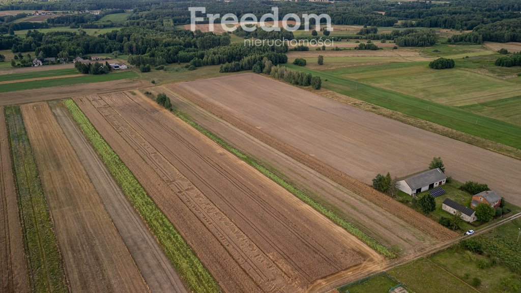 Działka inna na sprzedaż Zapolice  11 077m2 Foto 5