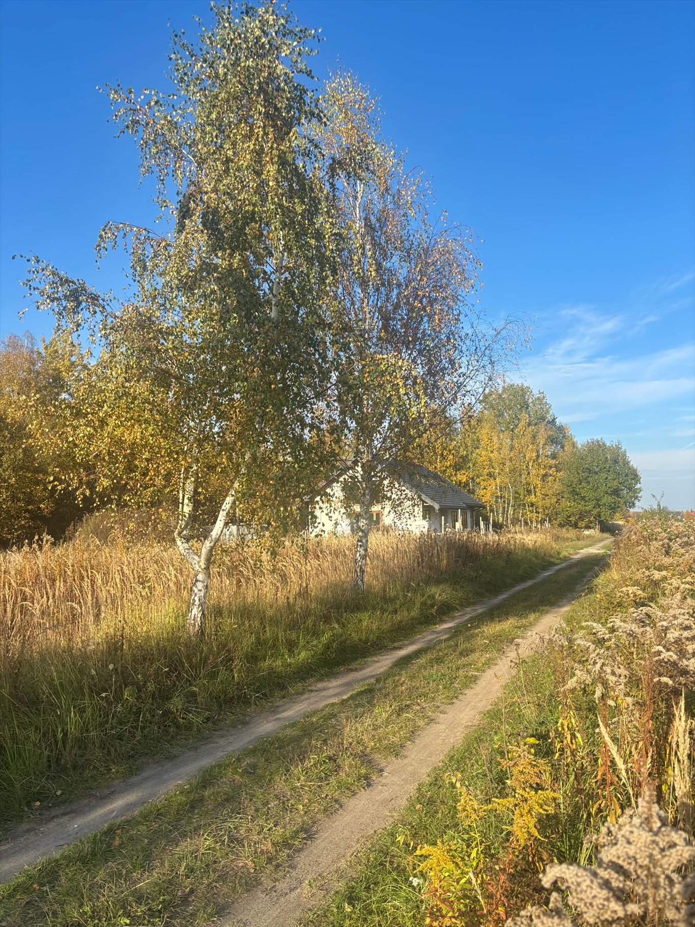 Działka budowlana na sprzedaż Wyględy  1 068m2 Foto 1