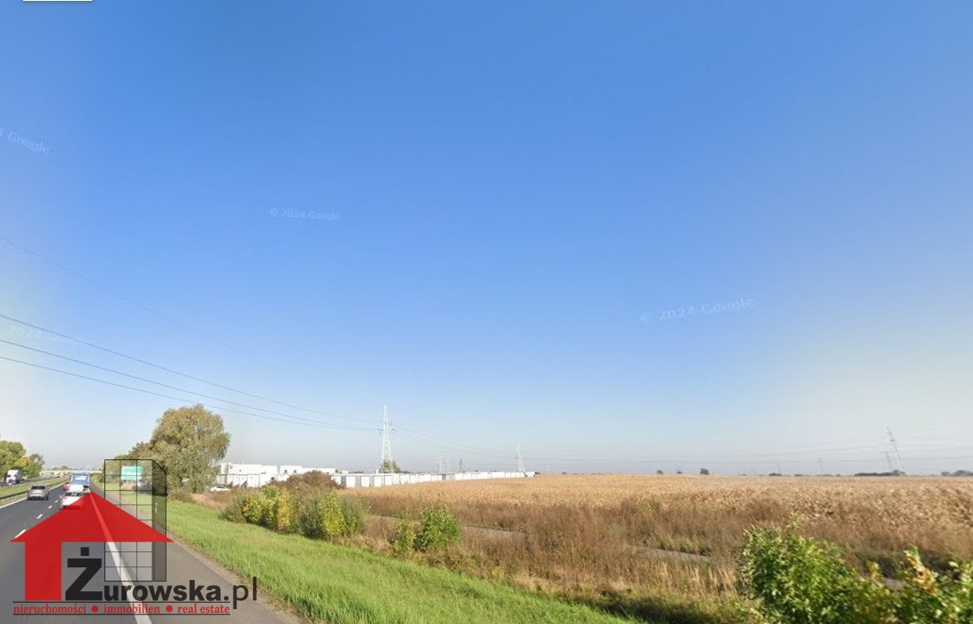 Działka inwestycyjna na sprzedaż Sady  10 000m2 Foto 1
