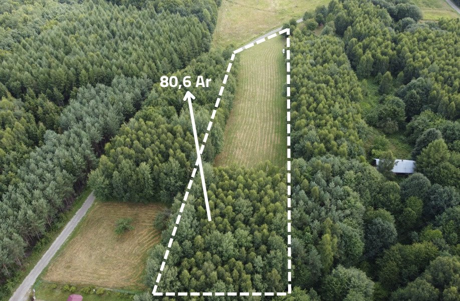 Sprzedam działkę 8,06 ha z WZ pod dom i inwestycję w Nowym Borku Nowy Borek  8 060m2 Foto 1