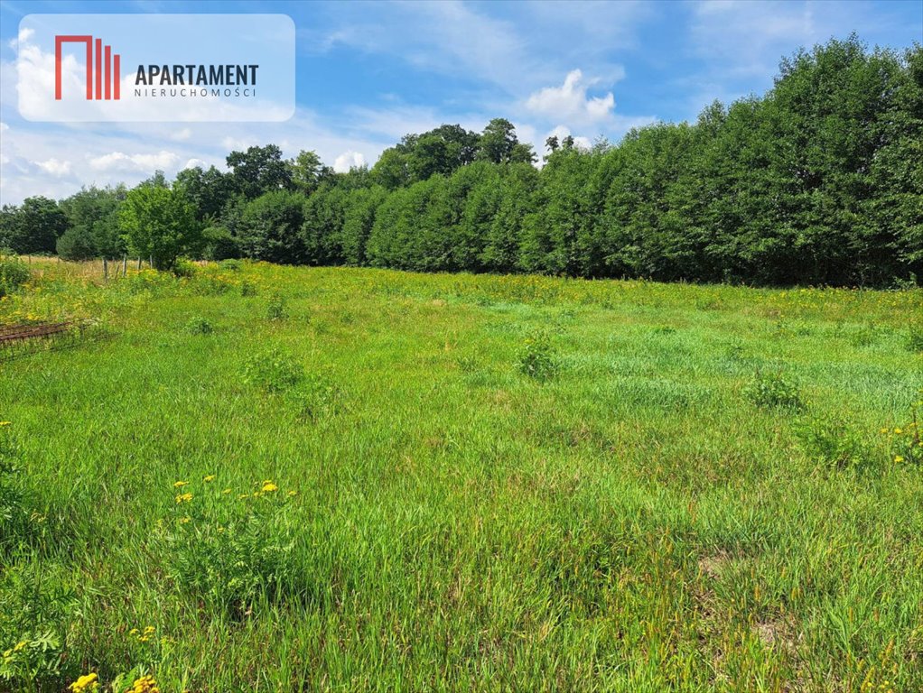 Działka budowlana na sprzedaż Wały  1 100m2 Foto 4