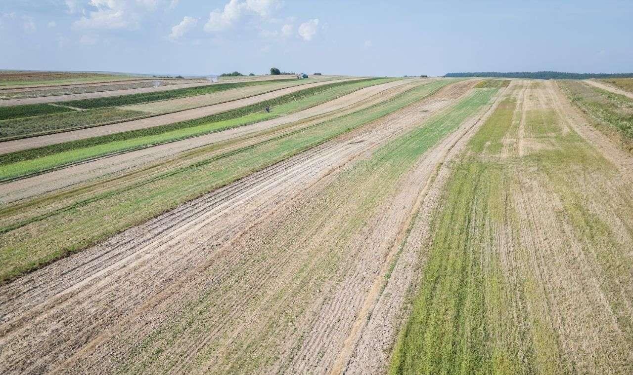 Działka siedliskowa na sprzedaż Sułoszowa  29 400m2 Foto 12