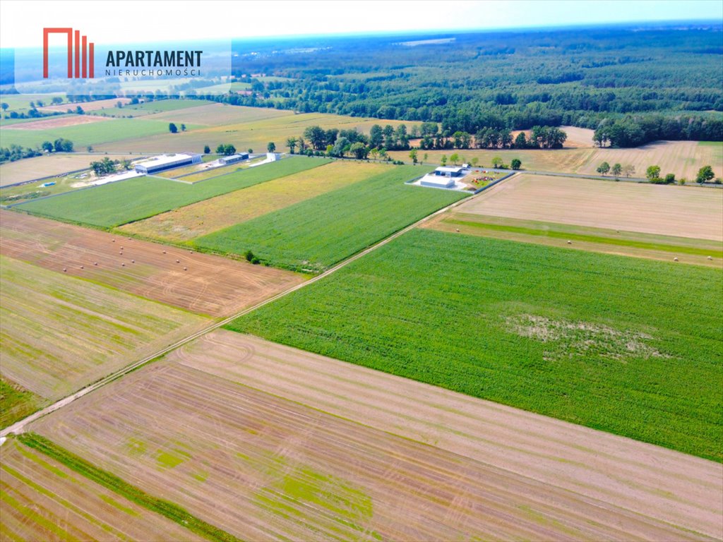 Działka przemysłowo-handlowa na sprzedaż Milicz  10 000m2 Foto 2