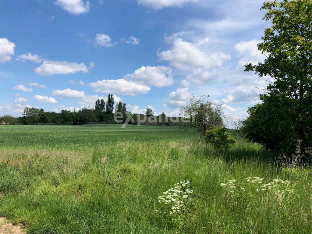 Działka budowlana na sprzedaż Głogów, Ruszowice  1 121m2 Foto 1