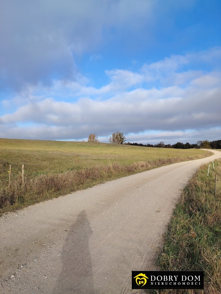 Działka rolna na sprzedaż Przerośl  43 316m2 Foto 9