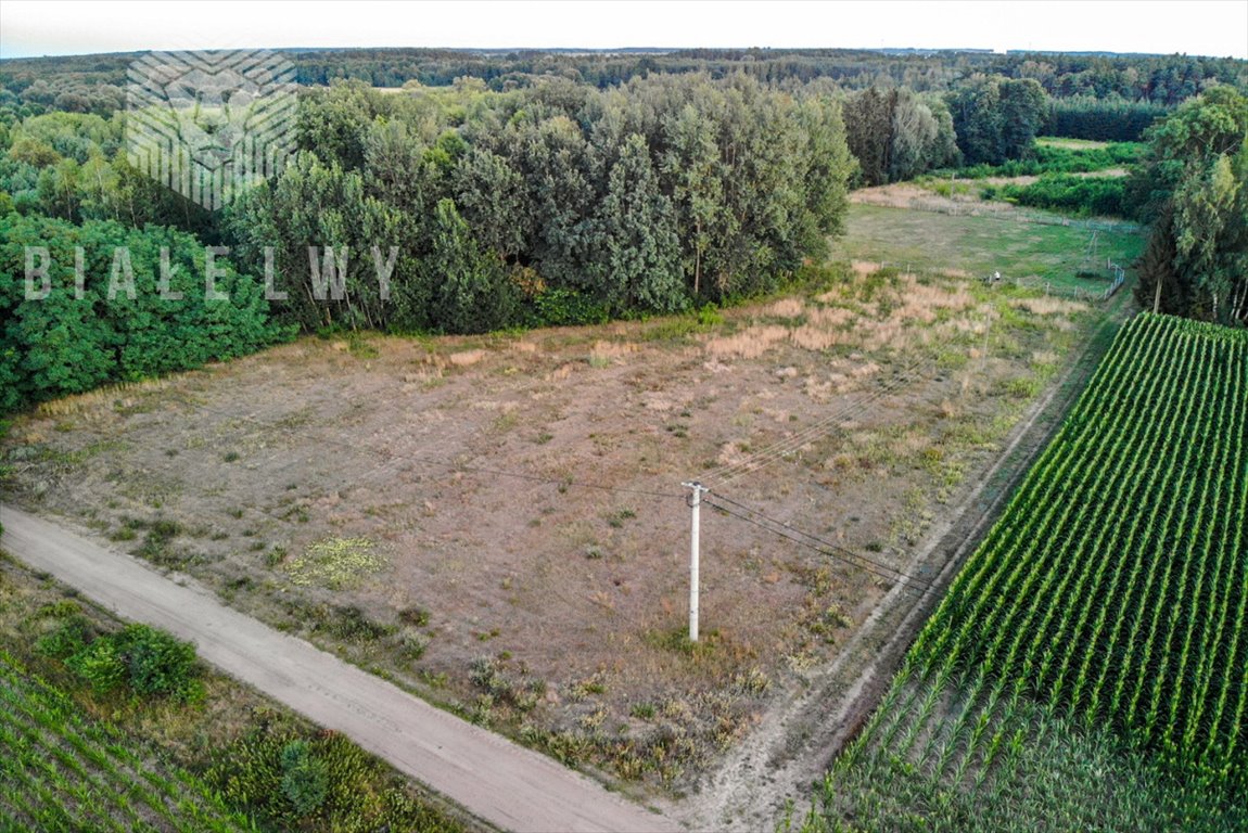 Działka rekreacyjna na sprzedaż Baraki  1 200m2 Foto 2