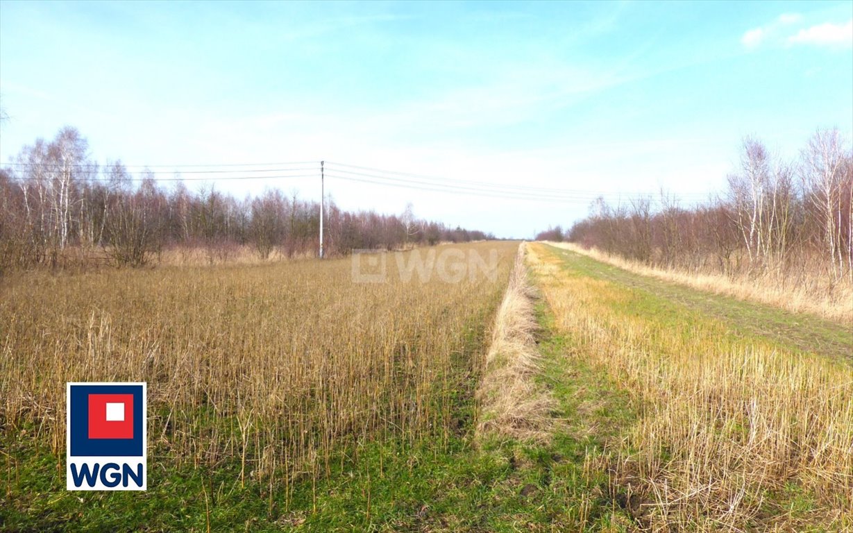 Działka budowlana na sprzedaż Kościelec, Młyńska  9 984m2 Foto 2