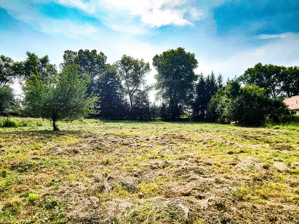 Działka inna na sprzedaż Stary Wielisław  2 800m2 Foto 12