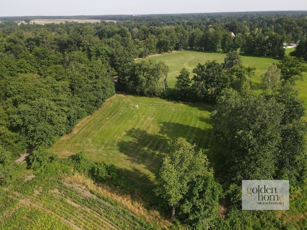 Działka budowlana na sprzedaż Nowy Tomyśl - najbliższa okolica, Albertowsko  5 000m2 Foto 7