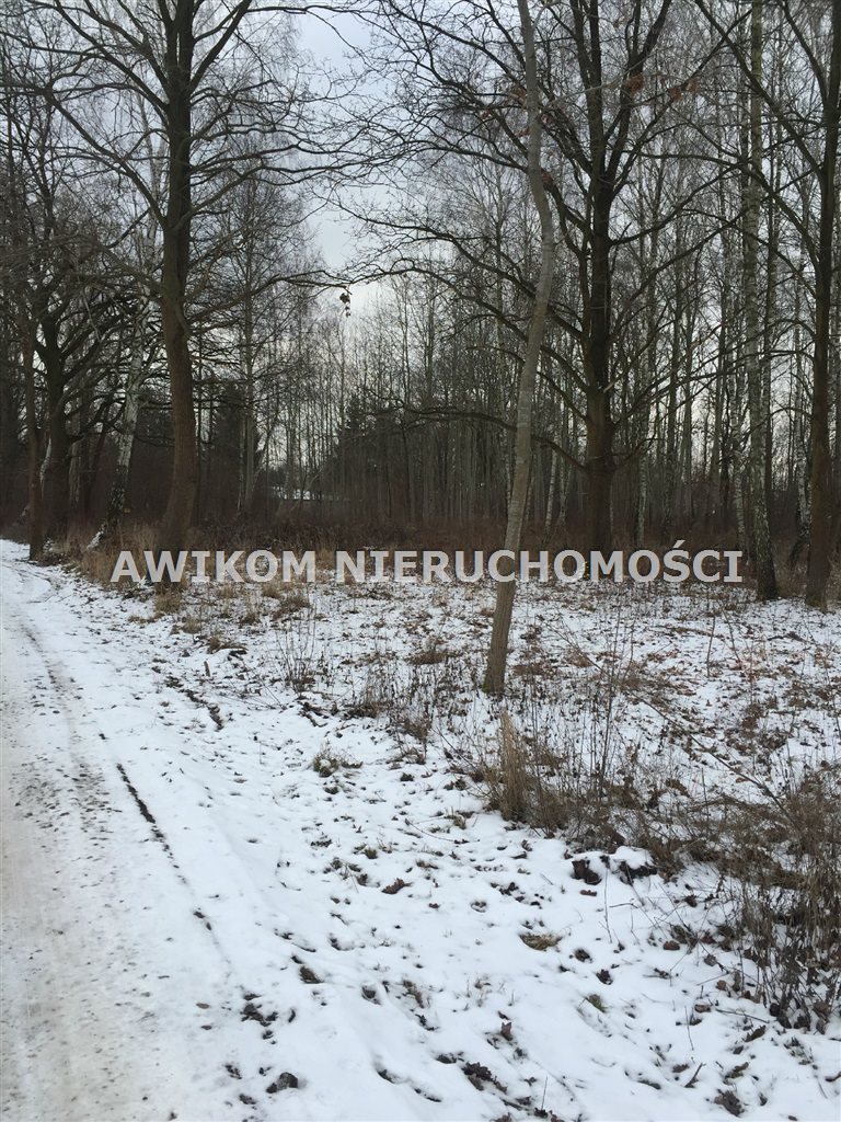 Działka budowlana na sprzedaż Grodzisk Mazowiecki, Grodzisk Mazowiecki  5 300m2 Foto 1