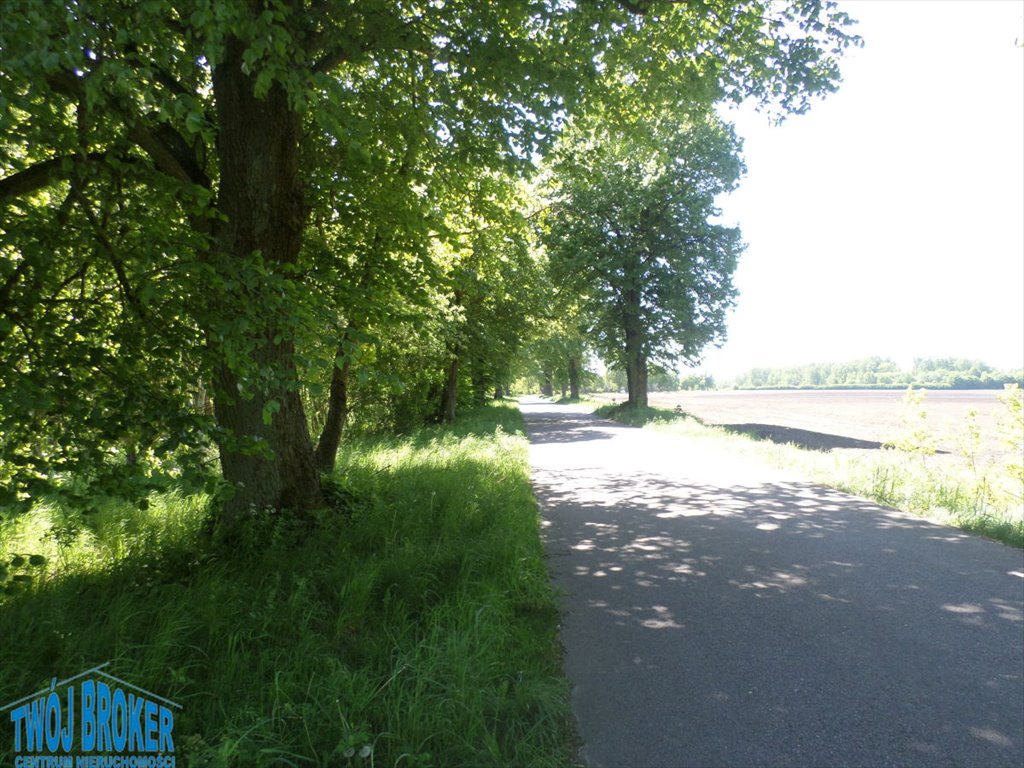 Działka rolna na sprzedaż Strzeczona, Strzeczona  206 000m2 Foto 11