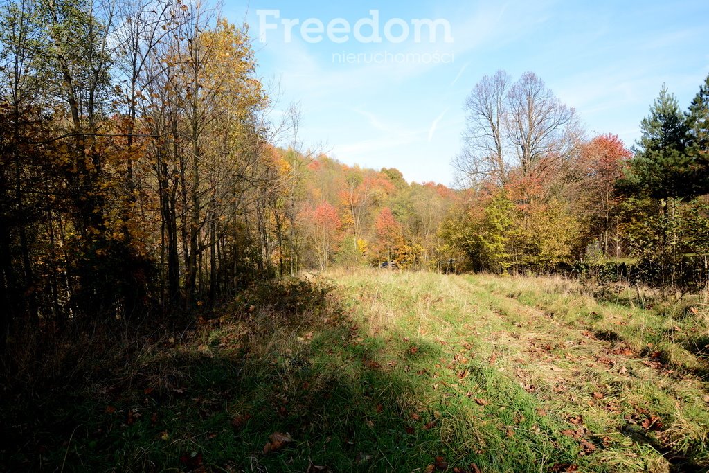 Działka budowlana na sprzedaż Ponikiew  2 846m2 Foto 17