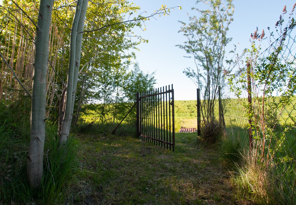 Działka rekreacyjna na sprzedaż Wytyczno  1 500m2 Foto 12