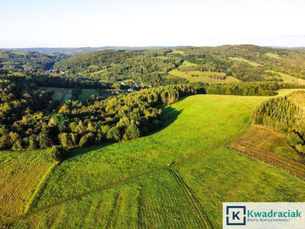 Atrakcyjne działki z panoramicznymi widokami 4,48 ha Lutcza  44 800m2 Foto 1