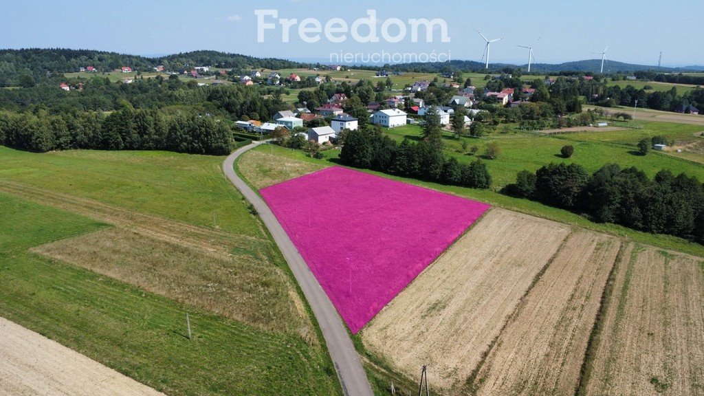 Działka budowlana na sprzedaż Kobylany  4 000m2 Foto 1