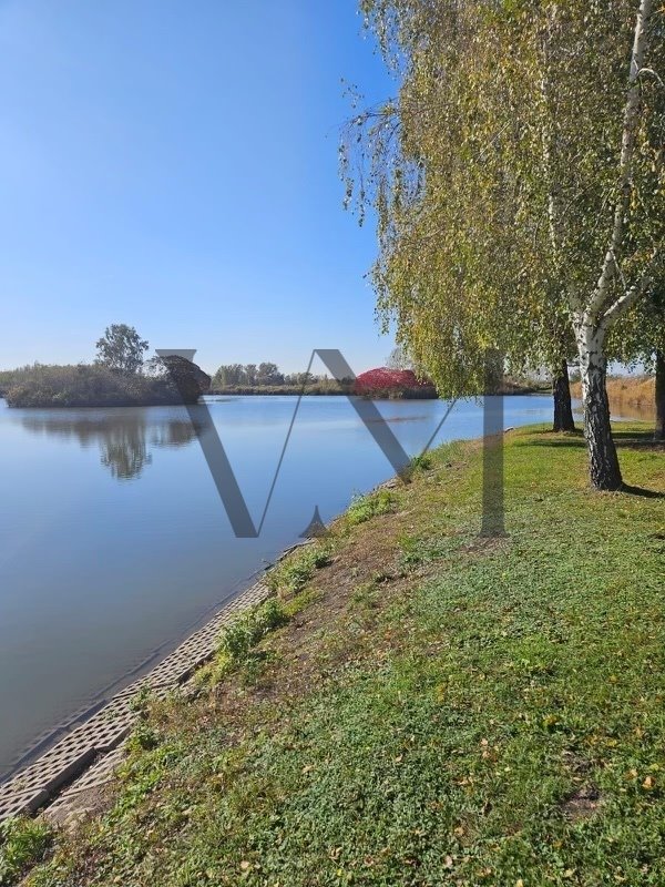 Działka budowlana na sprzedaż Busko-Zdrój  72 000m2 Foto 5