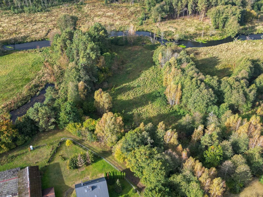 Działka rolna na sprzedaż Korzybie  6 800m2 Foto 5