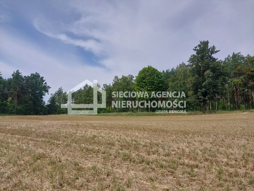 Działka siedliskowa na sprzedaż Grabowo  3 452m2 Foto 5