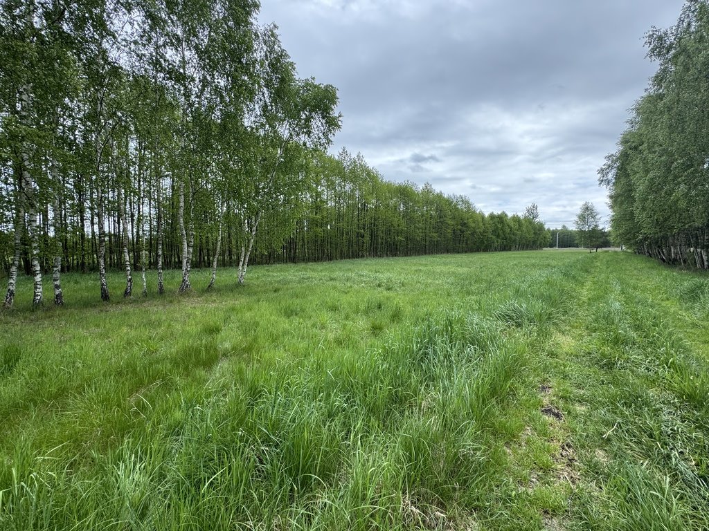 Działka 35 arów pod dom w lesie - media i dojazd utwardzony Widełka  3 500m2 Foto 1