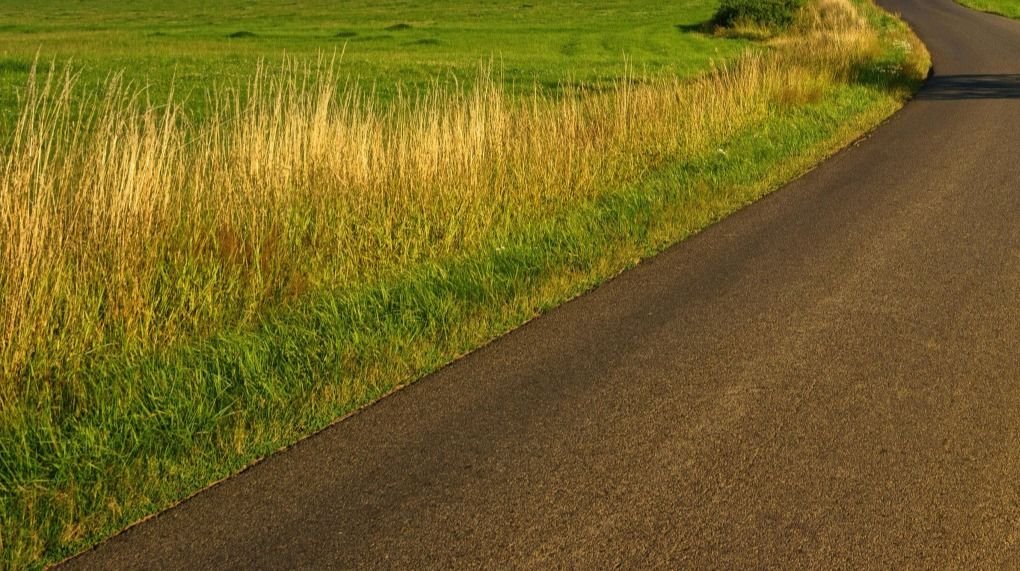 Działka gospodarstwo rolne na sprzedaż Ruda Rzeczka  5 600m2 Foto 3