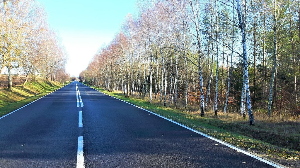 Działka siedliskowa na sprzedaż Zadry  70 600m2 Foto 10