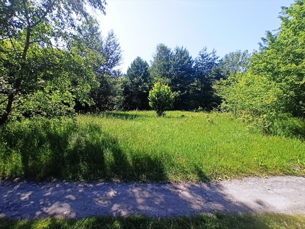 Działka leśna z prawem budowy na sprzedaż Borszewice Kościelne  9 000m2 Foto 6