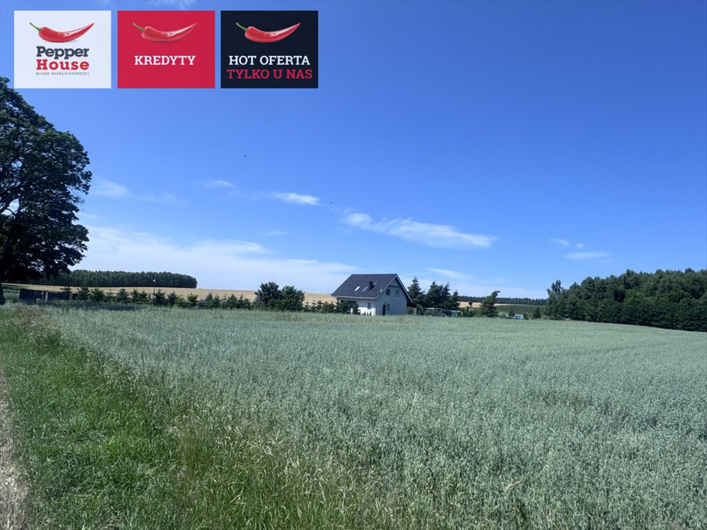 Działka 2886 m2 z warunkami zabudowy w Wrzeście Wrzeście  2 886m2 Foto 1
