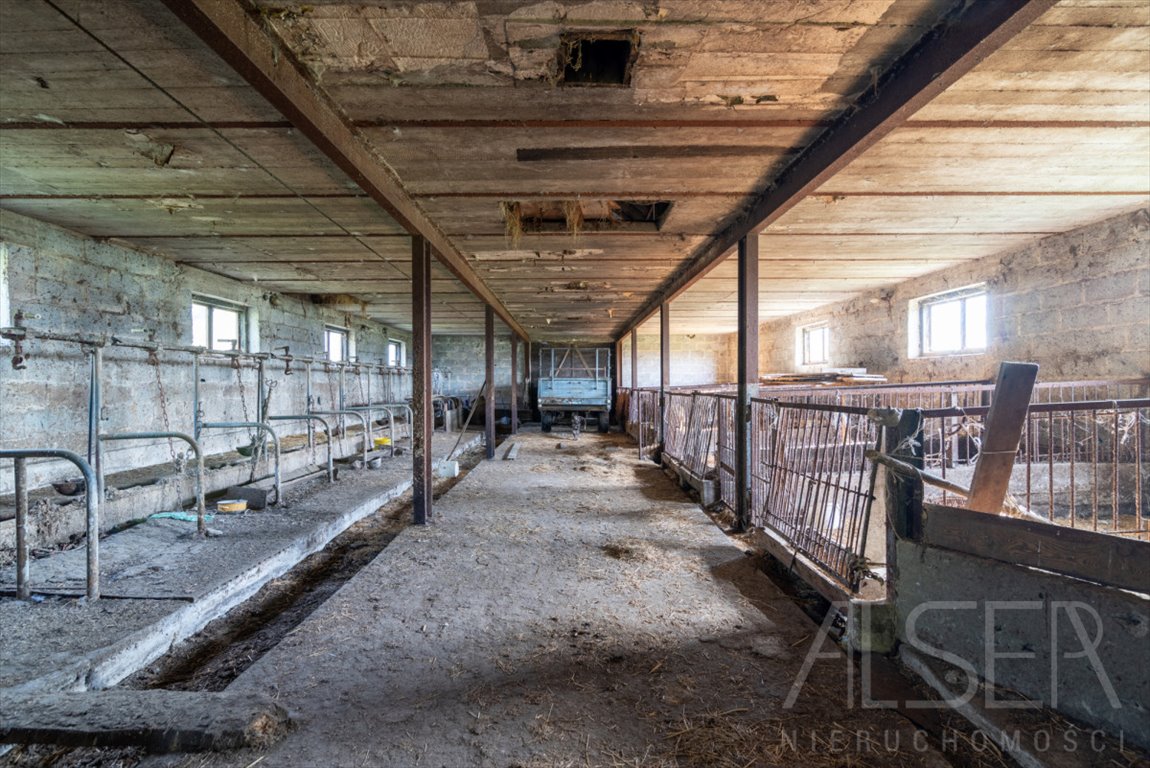 Dom na sprzedaż Nowa Pecyna  100m2 Foto 7