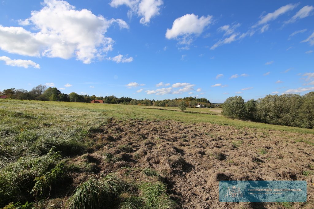 Działka budowlana na sprzedaż Hucisko Jawornickie  7 700m2 Foto 6