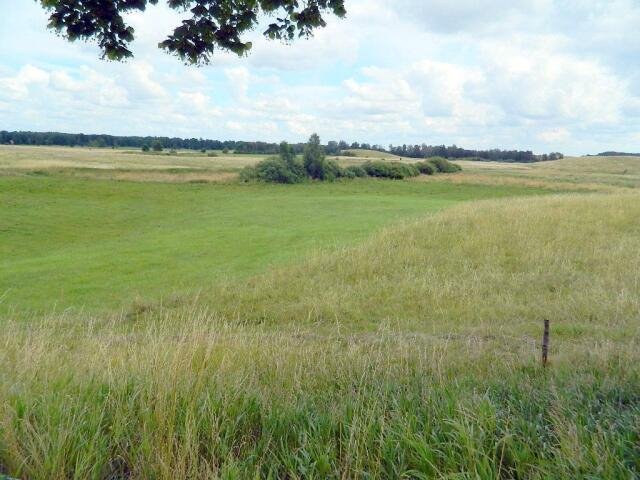 Działka budowlana na sprzedaż Dziubiele  24 200m2 Foto 14