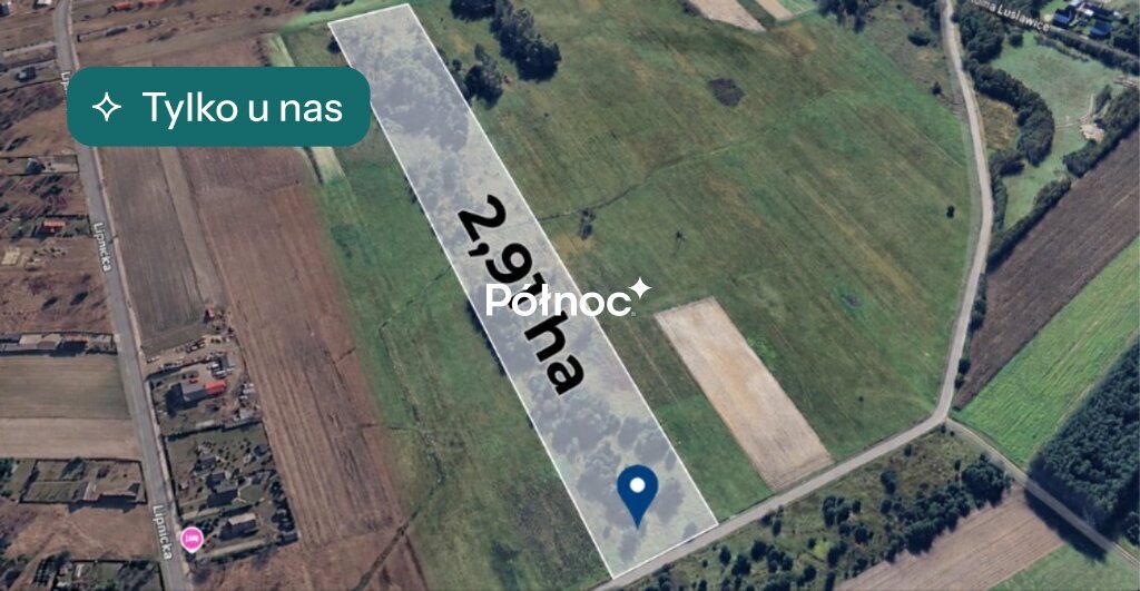 Działka rolna 2,91 ha w Żurawiu, cisza i jurajski klimat! polecam! Żuraw  29 100m2 Foto 1