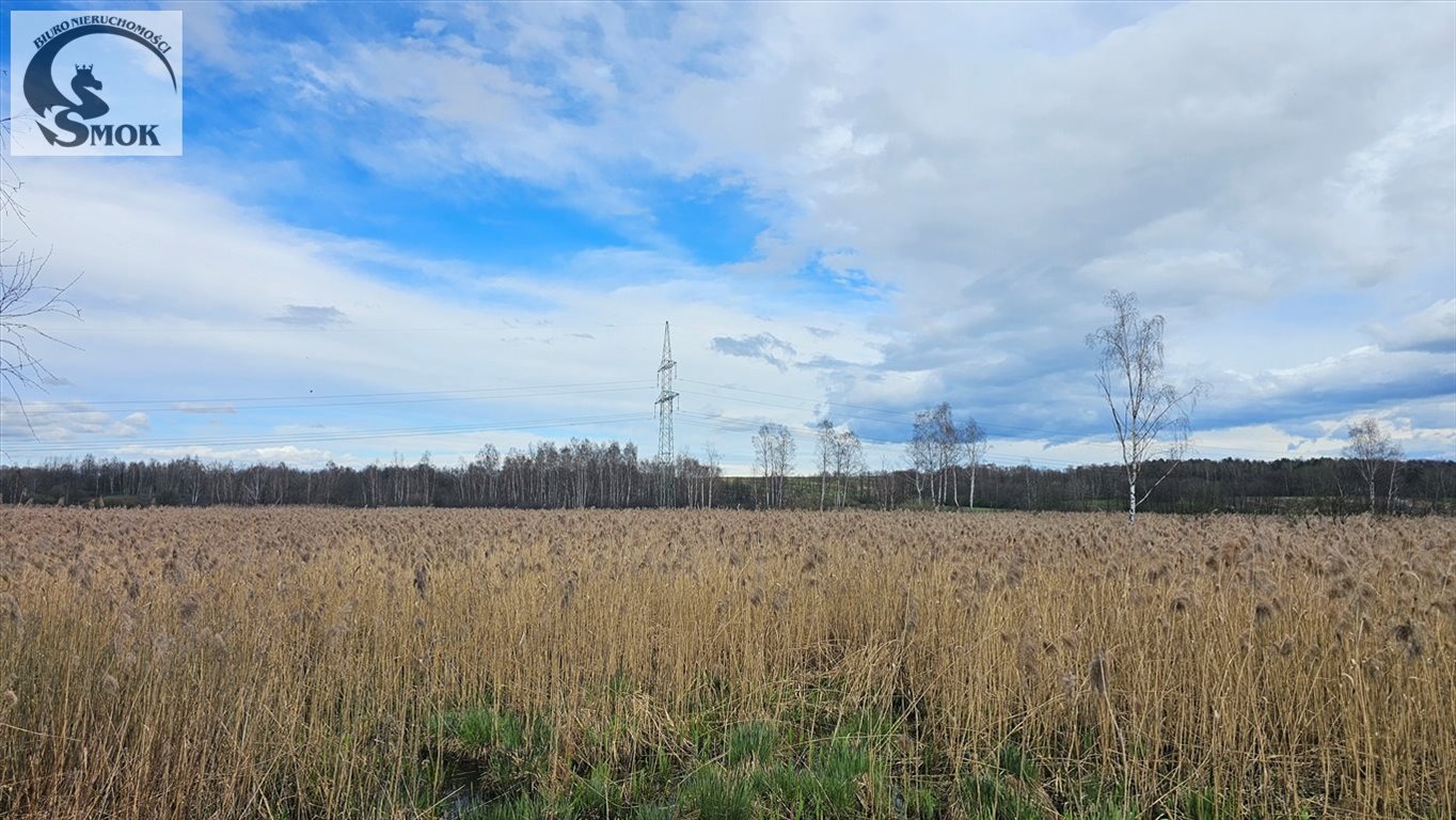 Działka rolna na sprzedaż Przeginia Narodowa  180 000m2 Foto 3