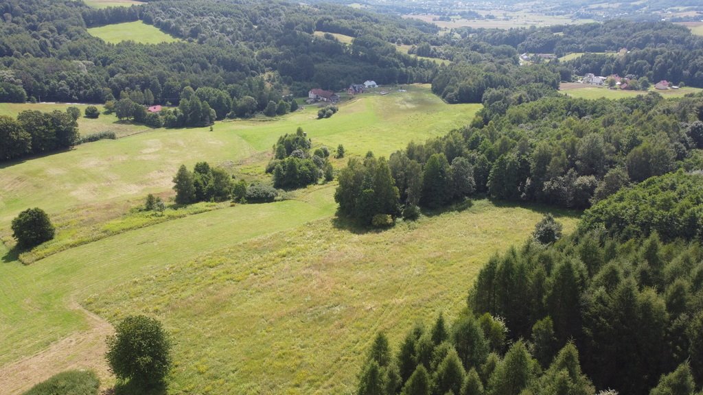 Działka budowlana na sprzedaż Lutcza  107 000m2 Foto 11