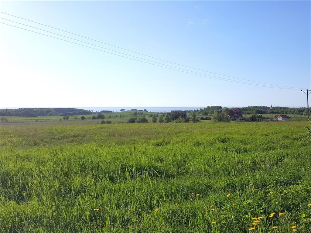 Działka inna na sprzedaż Łęcze, Tolkmicko 19 000m2 Foto 1 Działka inna na sprzedaż Łęcze, Tolkmicko 19 000m2 Foto 1