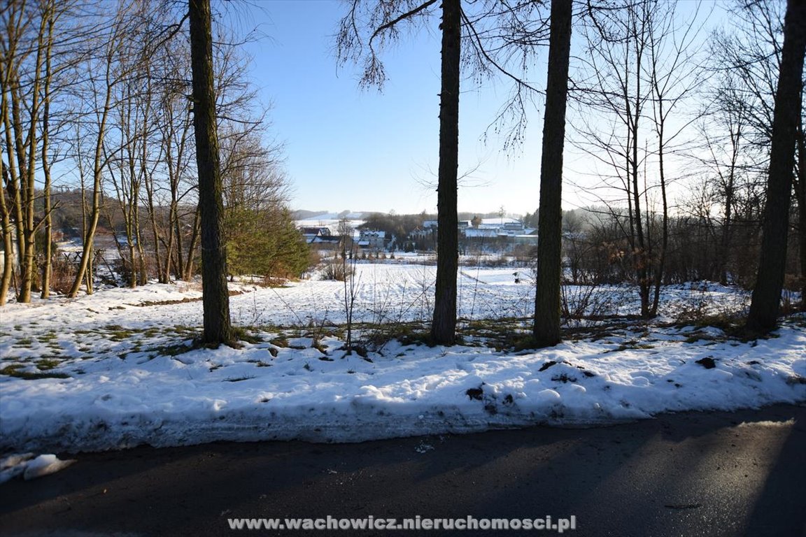 Działka budowlana na sprzedaż Kalina Wielka  4 700m2 Foto 3