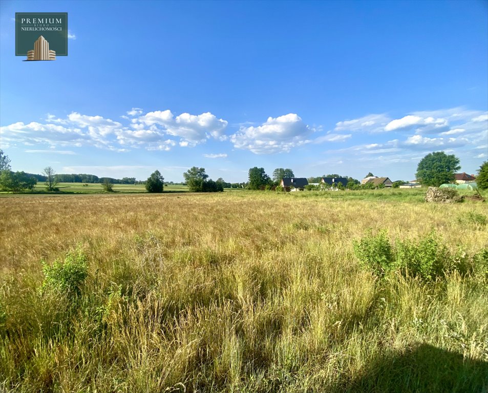 Działka budowlana na sprzedaż Krypno Kościelne  1 590m2 Foto 8