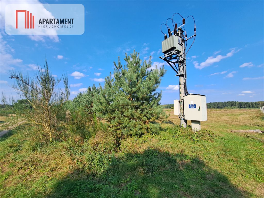 Działka gospodarstwo rolne na sprzedaż Szczenurze  10 000m2 Foto 4