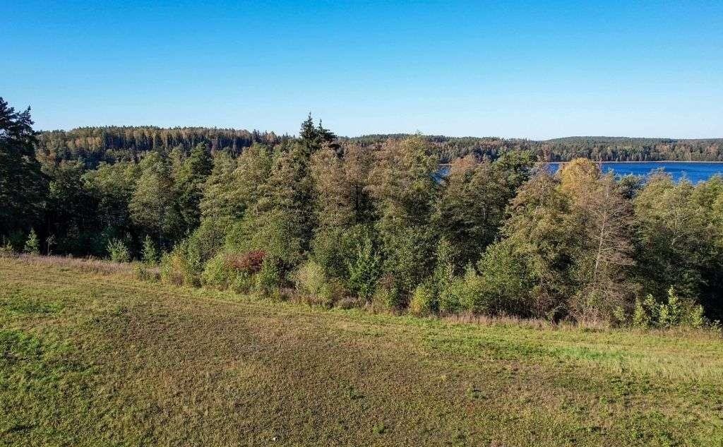 Działka rolna na sprzedaż Ramsowo  6 195m2 Foto 16