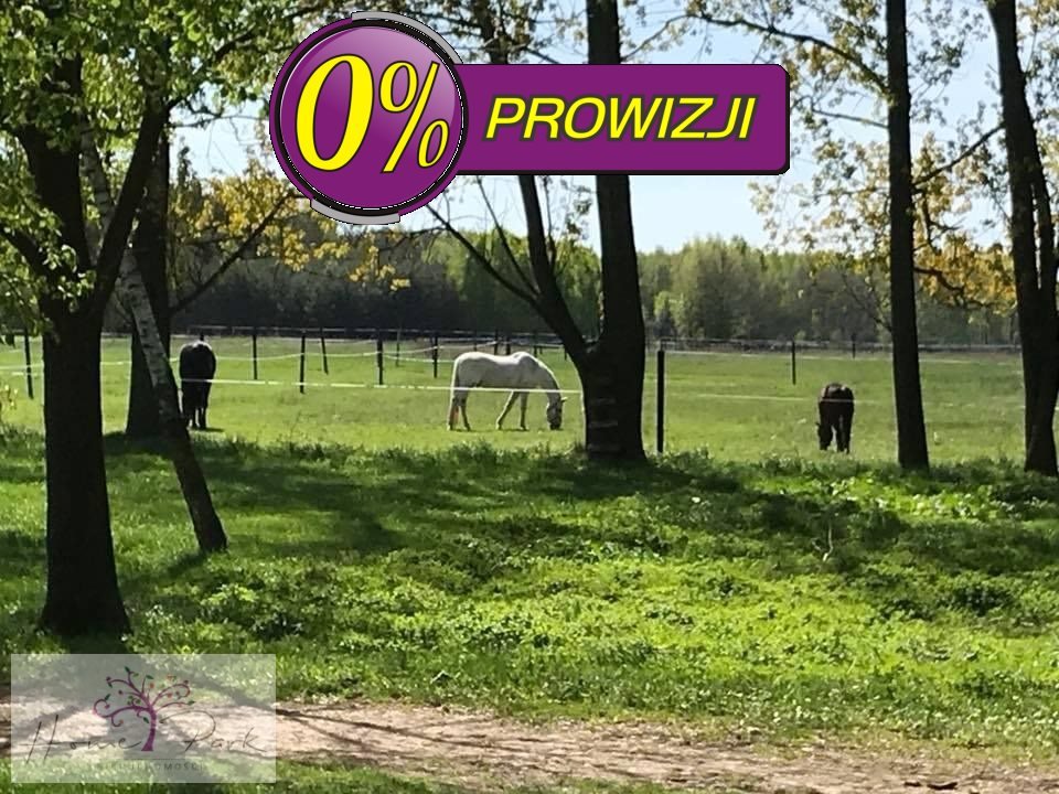 Dom na sprzedaż gm. Dłutów, Leszczyny Małe  290m2 Foto 18