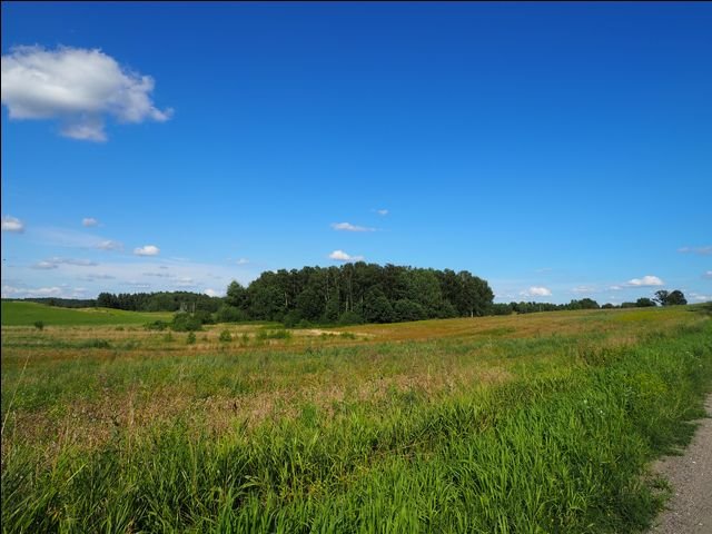 Działka leśna na sprzedaż Wołowno  19 700m2 Foto 7