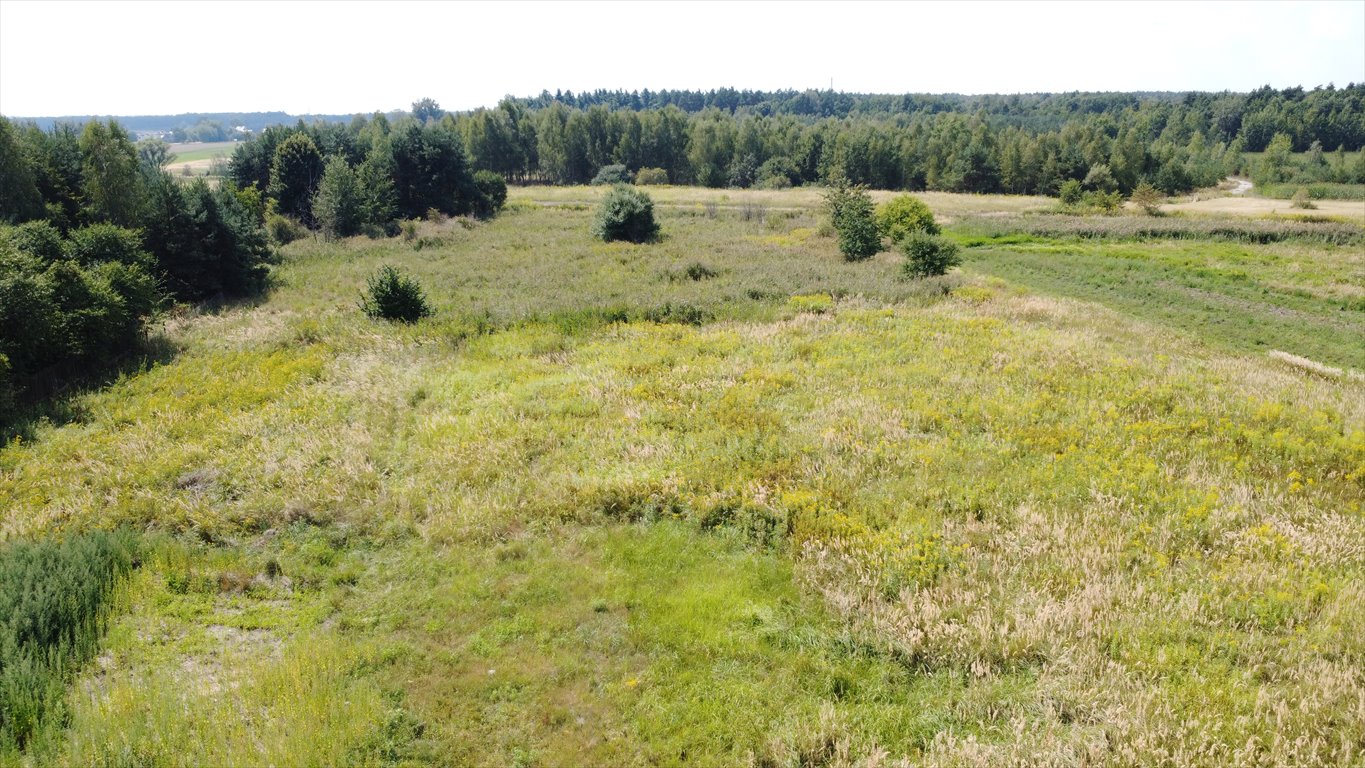 Działka budowlana na sprzedaż Lędziny, Górki, Ziemowita  3 539m2 Foto 1