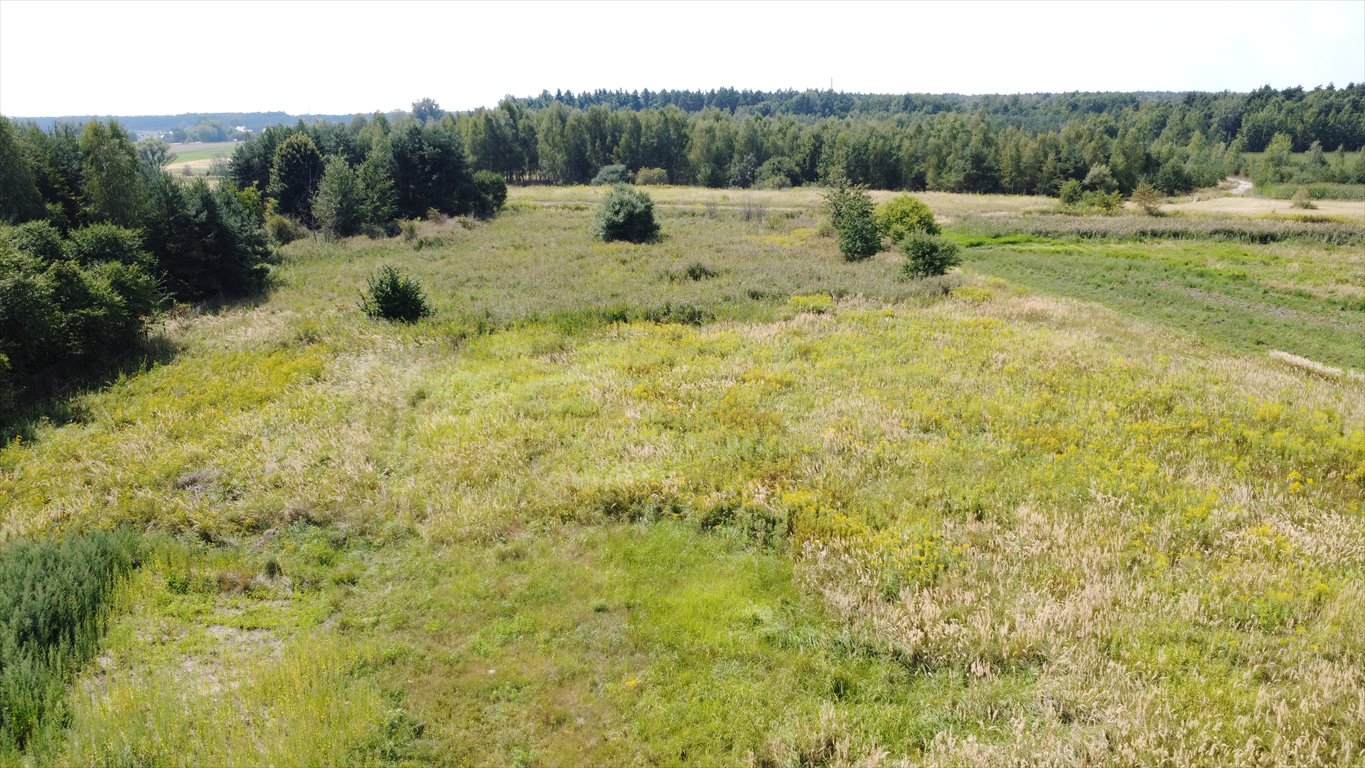 Sprzedam działkę 3539 m² z mediami i potencjałem w Lędzinach Lędziny, Górki, Ziemowita  3 539m2 Foto 1