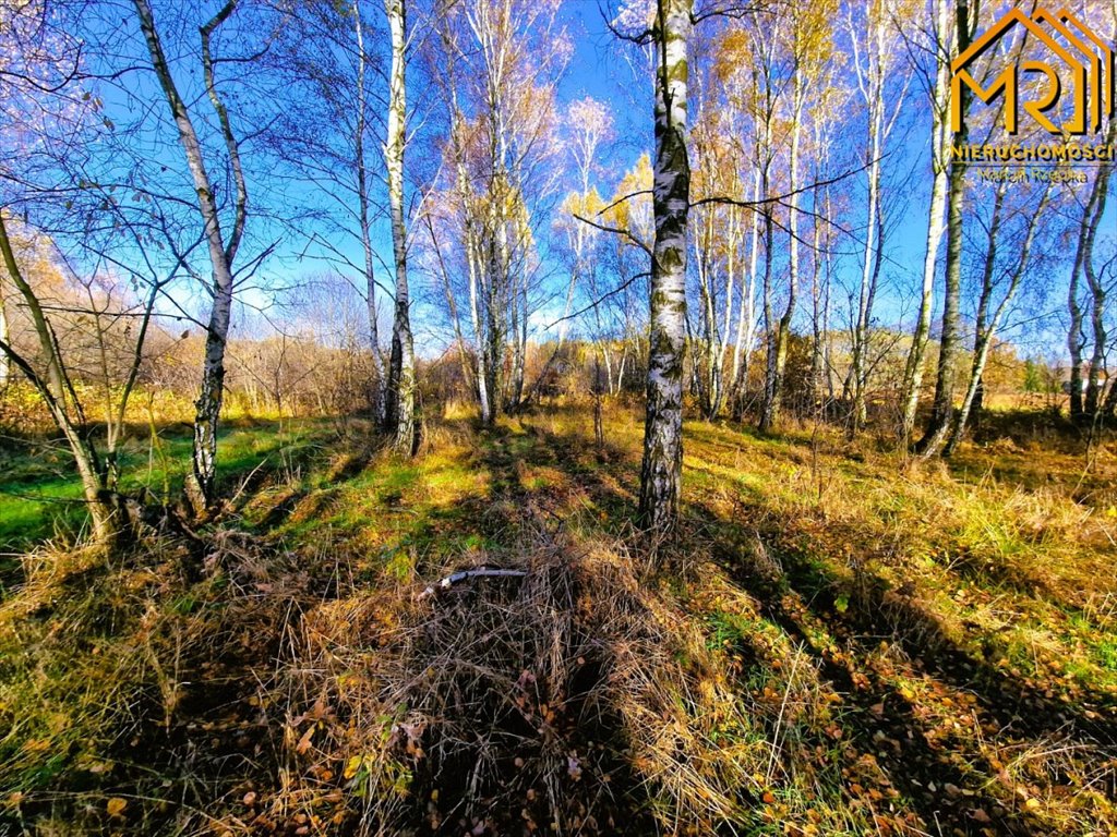 Działka inna na sprzedaż Pogórska Wola  2 389m2 Foto 10