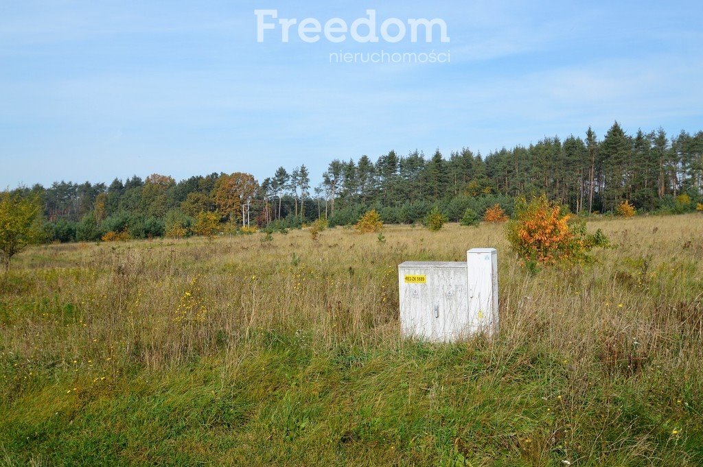 Działka budowlana na sprzedaż Siedliska  914m2 Foto 2