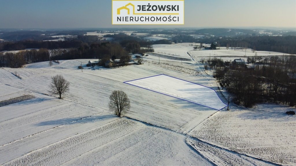 Działka rolna na sprzedaż Wierzchoniów  4 400m2 Foto 7