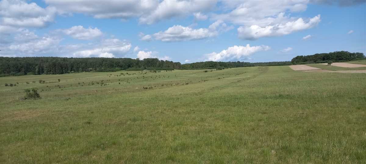 Działka rekreacyjna na sprzedaż Myślinów, Myślinów  3 001m2 Foto 3